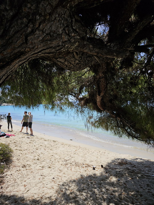  KalogriabeachSithonia 